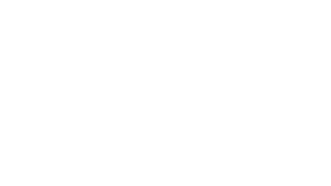 zinia Secondary DarkBG